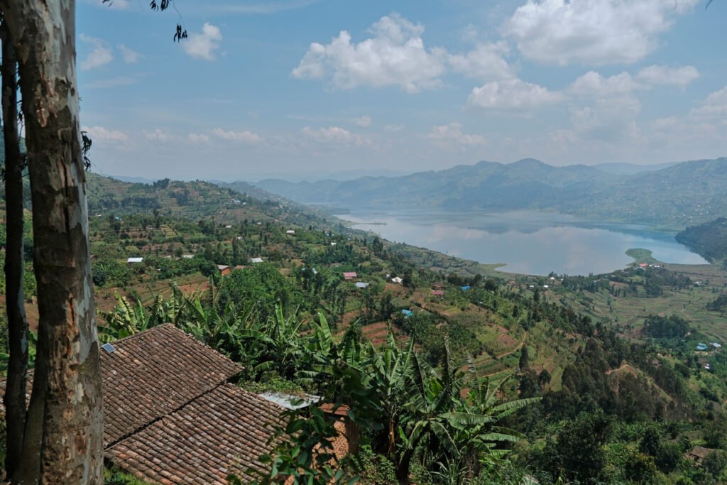 route green top view